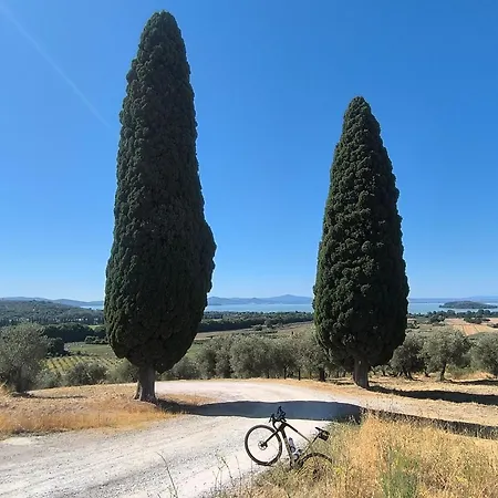 Sienilia Tuoro sul Trasimeno
