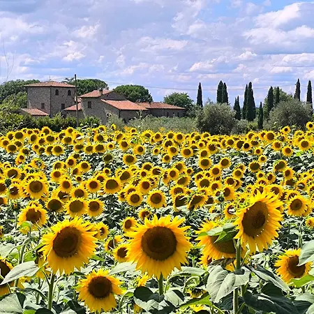 Sienilia Tuoro sul Trasimeno